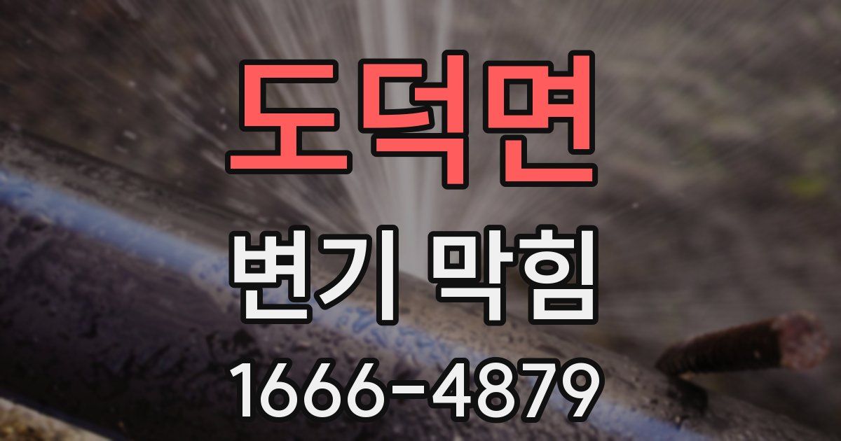 도덕면 변기 막힘