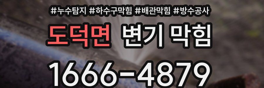도덕면 변기 막힘
