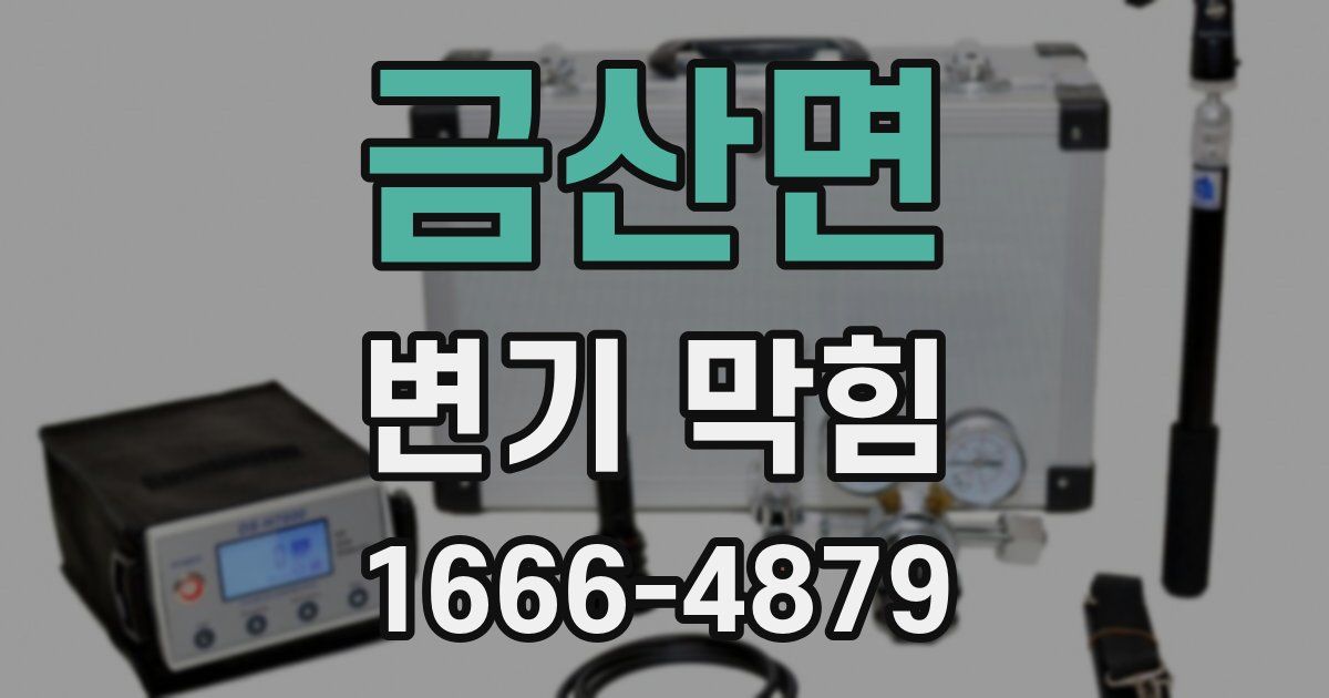 금산면 변기 막힘