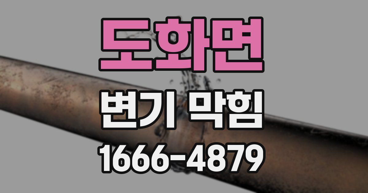 도화면 변기 막힘