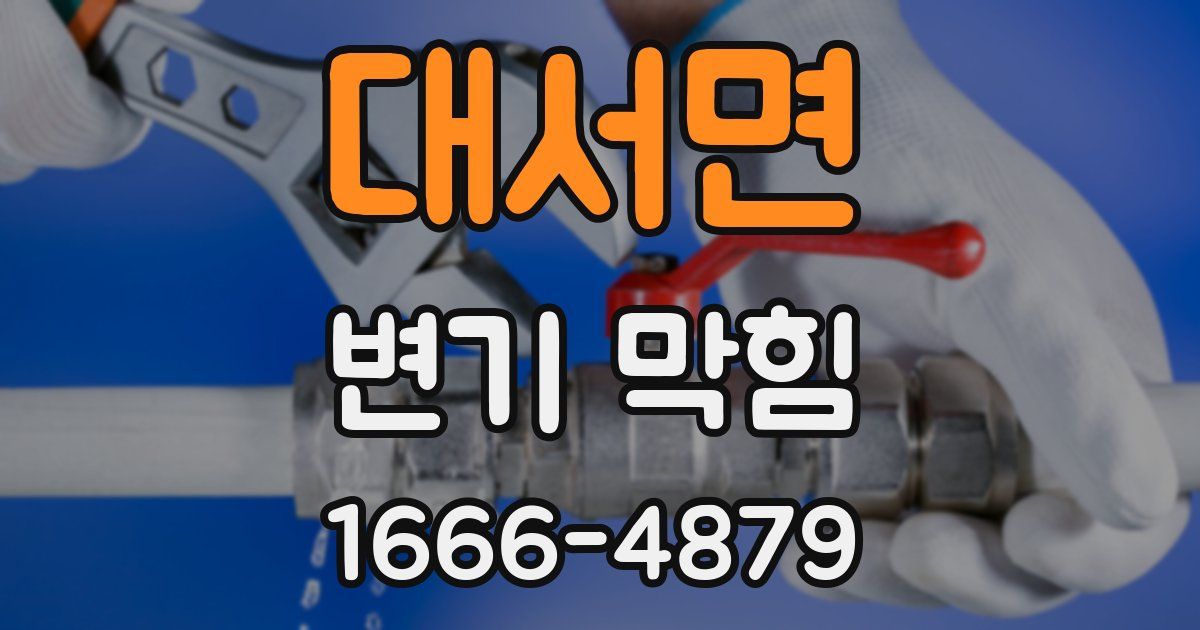 대서면 변기 막힘