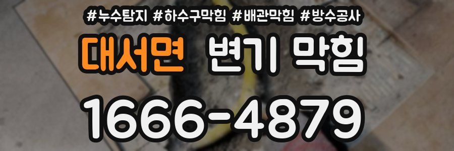 대서면 변기 막힘