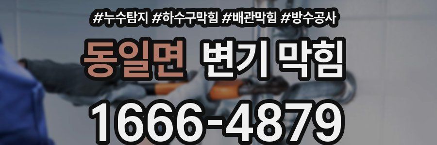 동일면 변기 막힘