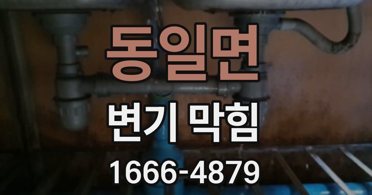 동일면 변기 막힘