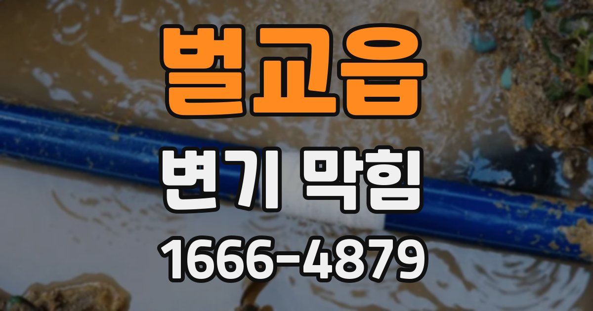 벌교읍 변기 막힘
