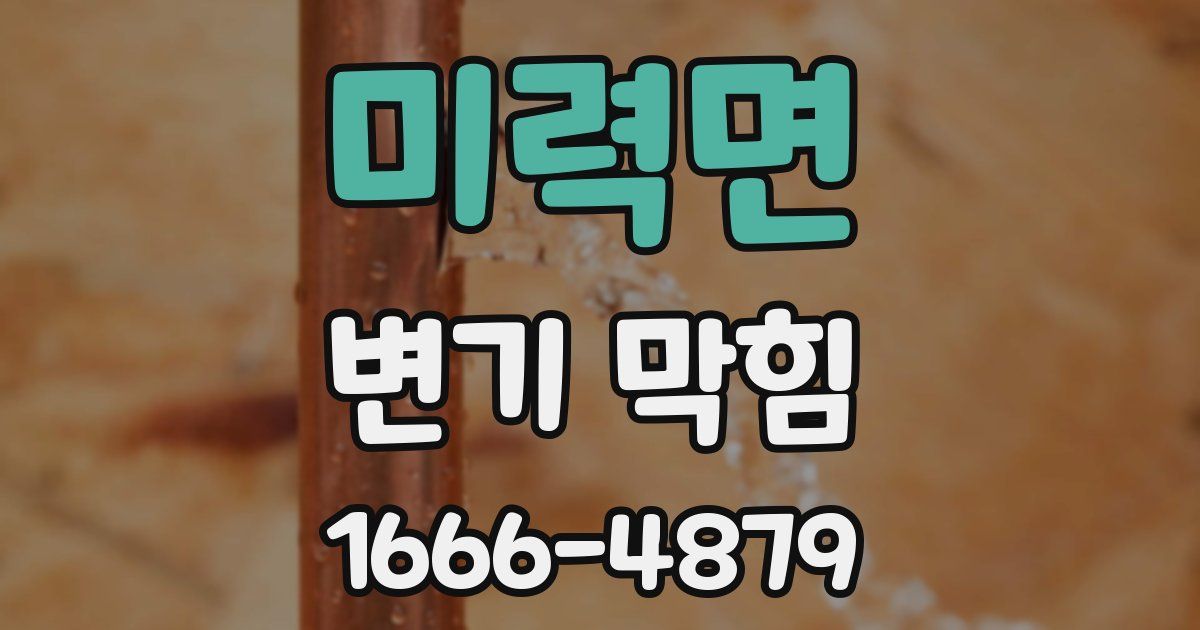 미력면 변기 막힘