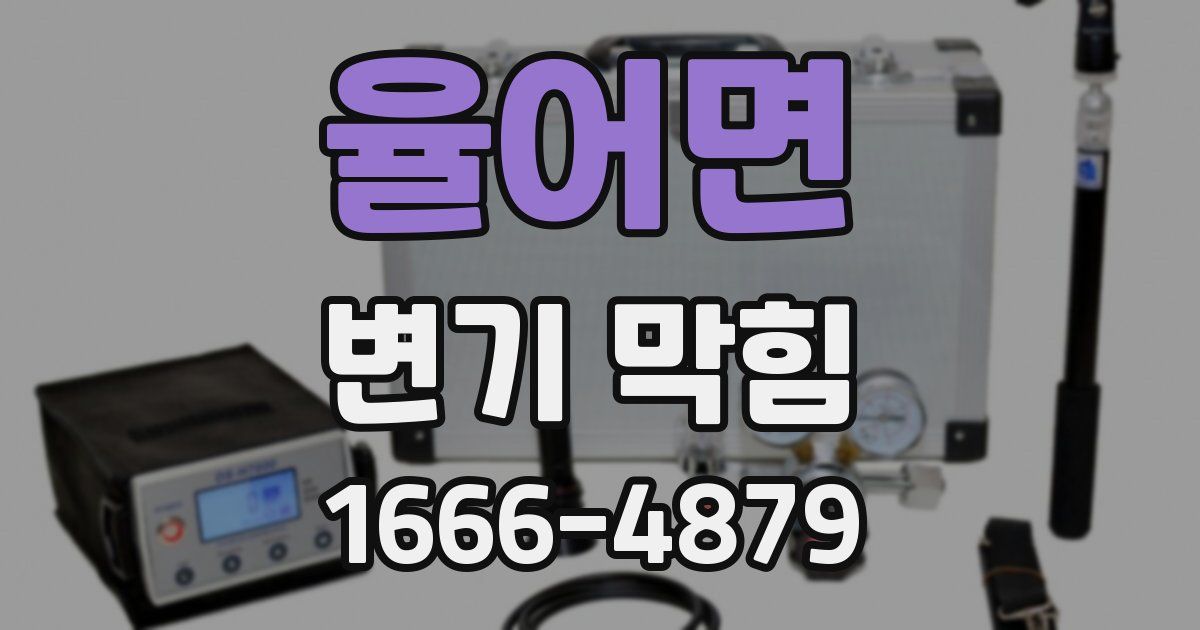 율어면 변기 막힘