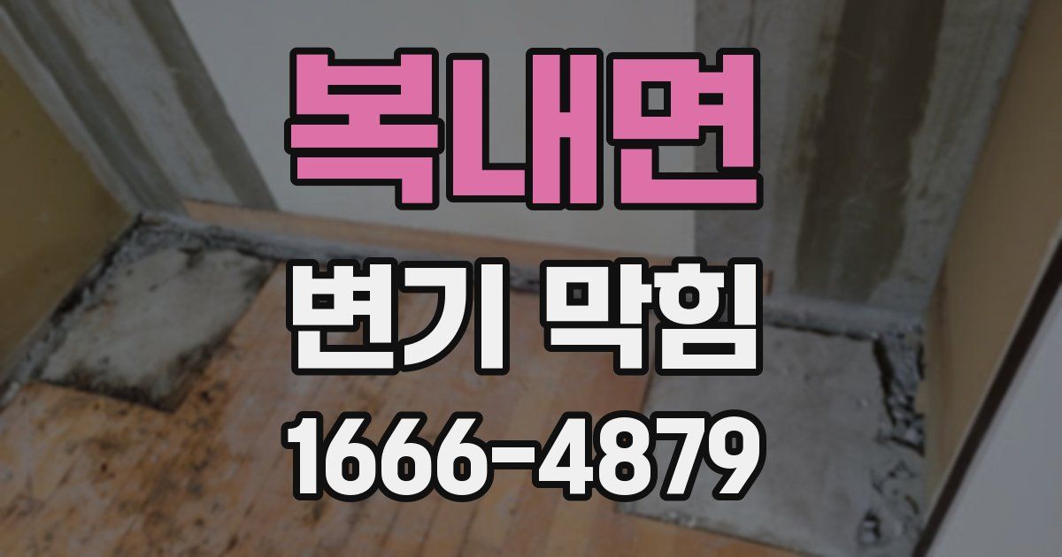복내면 변기 막힘
