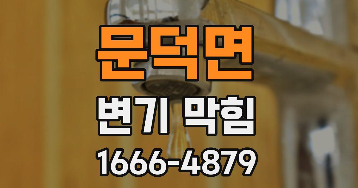 문덕면 변기 막힘