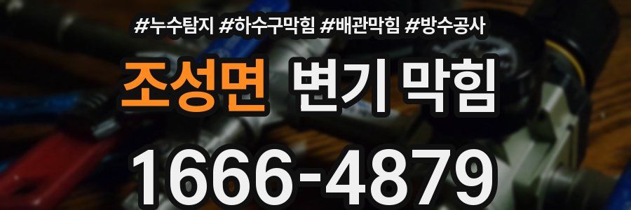 조성면 변기 막힘