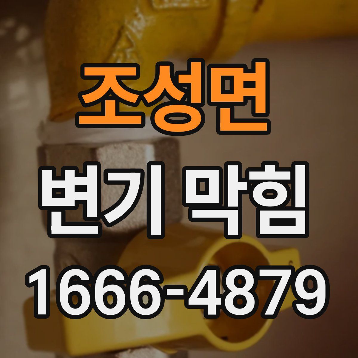 조성면 변기 막힘