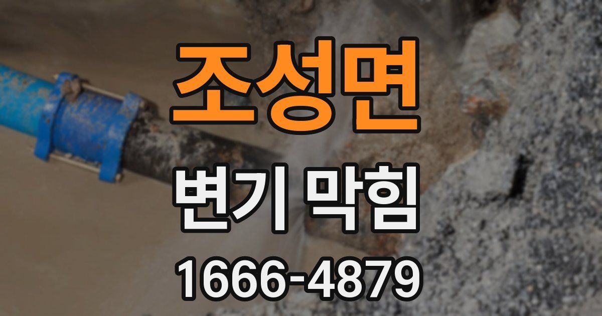 조성면 변기 막힘