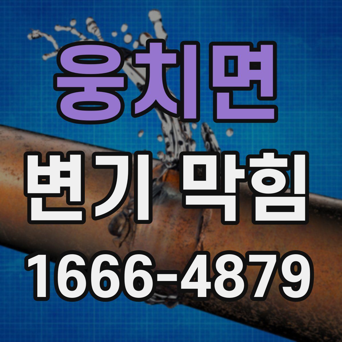 웅치면 변기 막힘