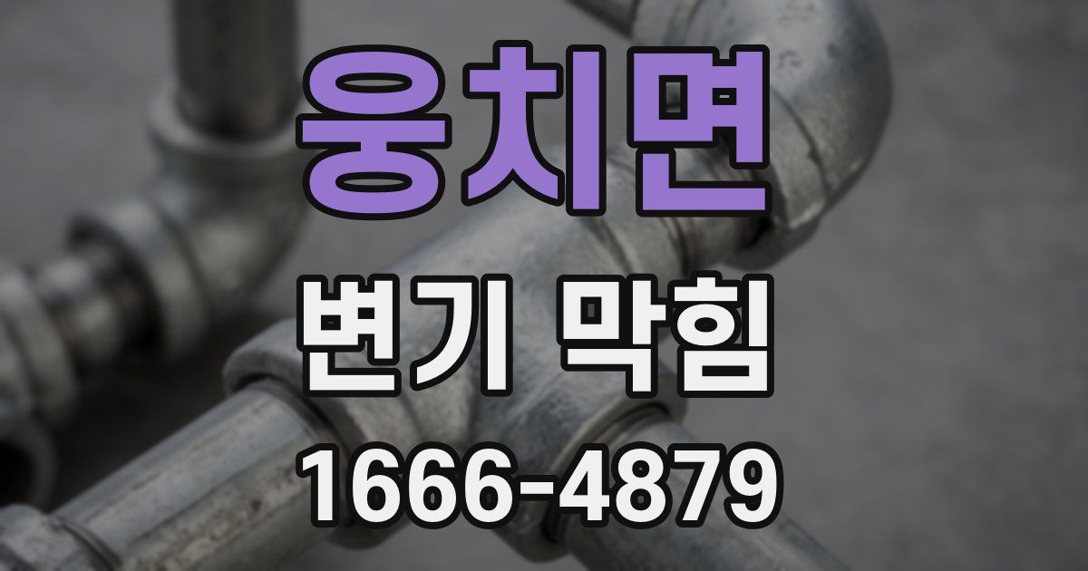 웅치면 변기 막힘