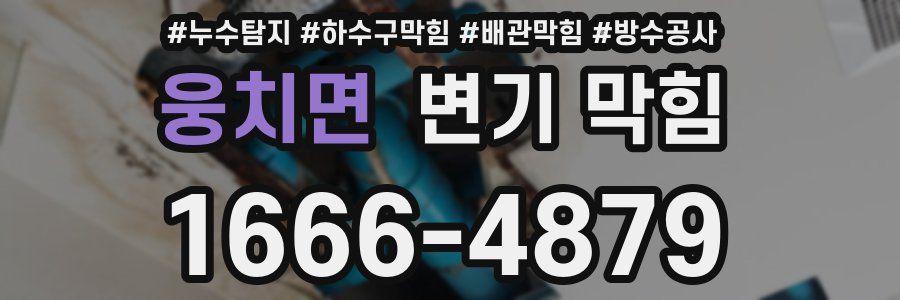 웅치면 변기 막힘