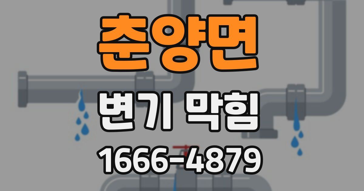 춘양면 변기 막힘