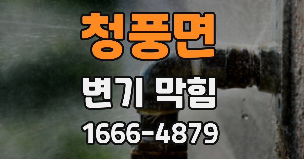 청풍면 변기 막힘