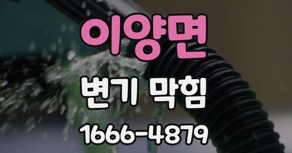이양면 변기 막힘