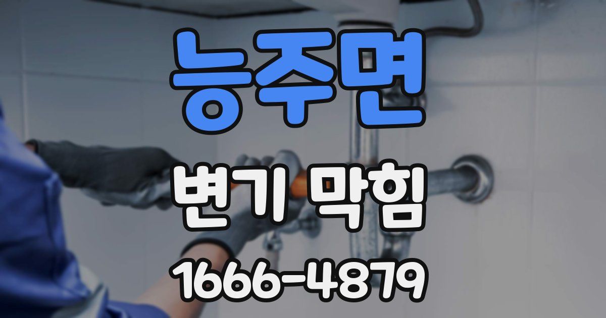 능주면 변기 막힘
