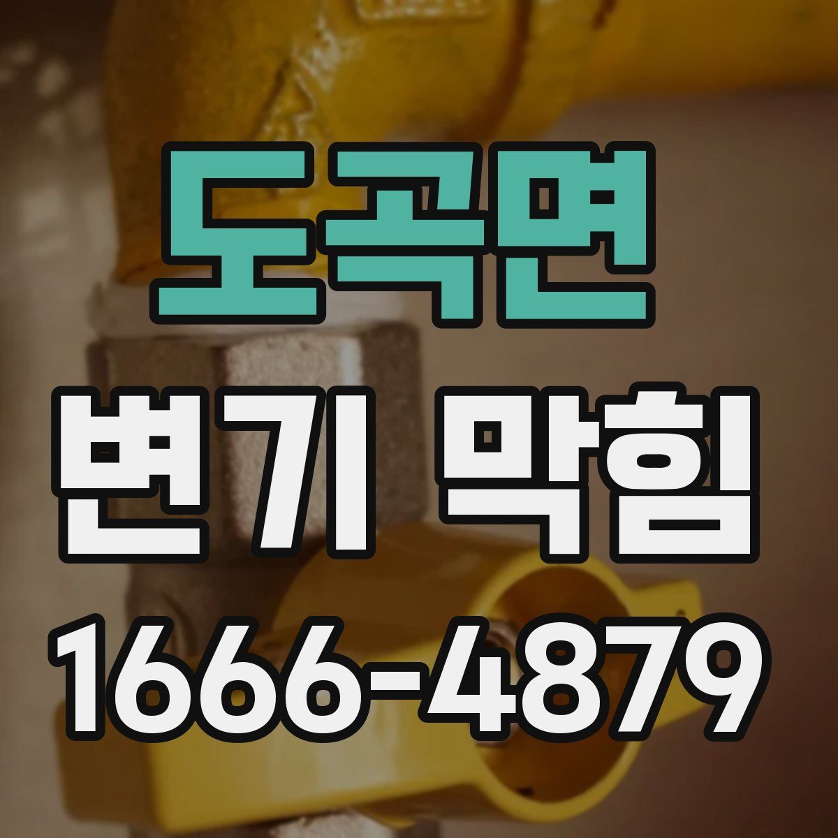 도곡면 변기 막힘