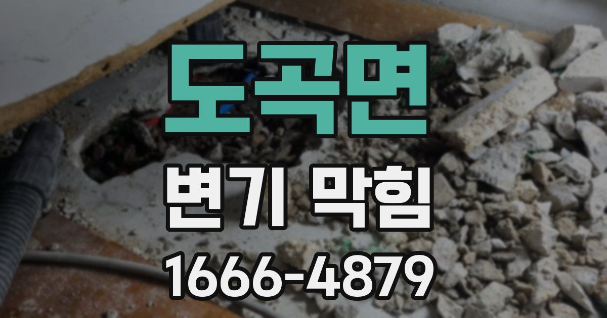 도곡면 변기 막힘