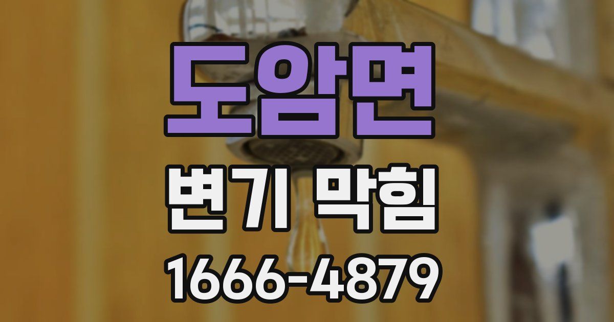 도암면 변기 막힘