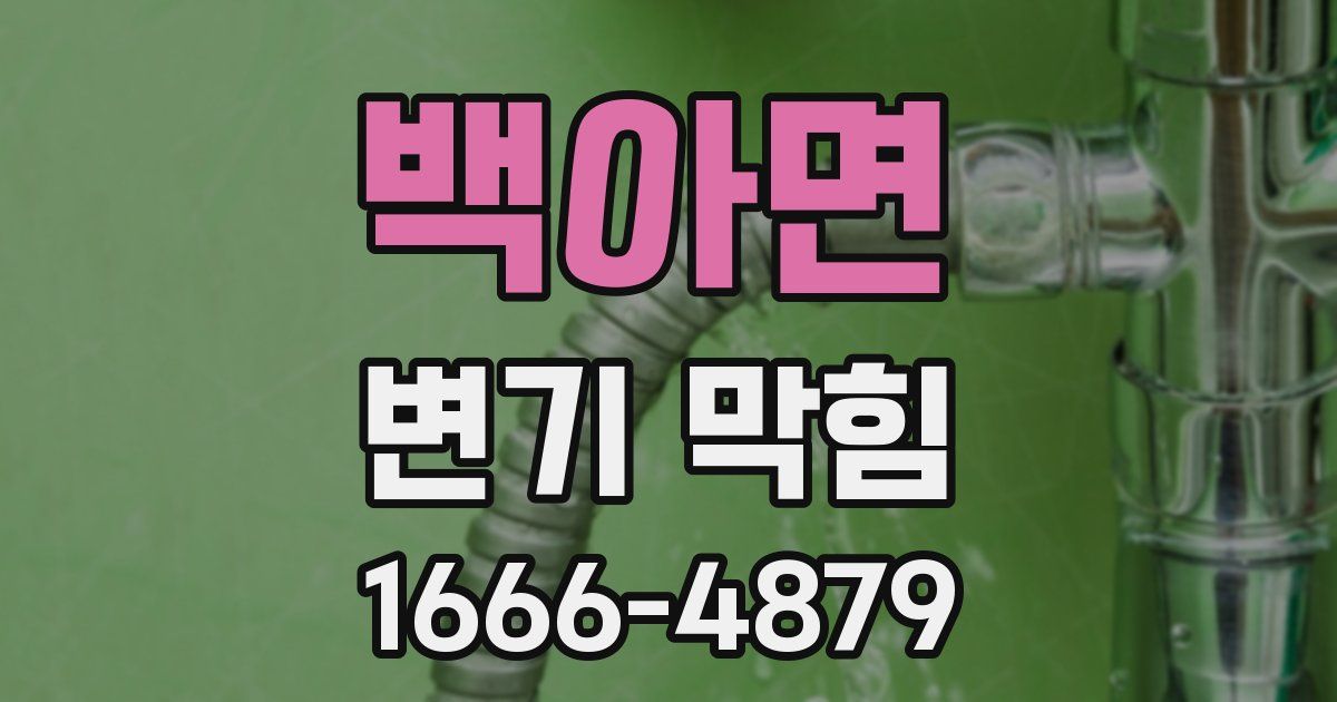 백아면 변기 막힘