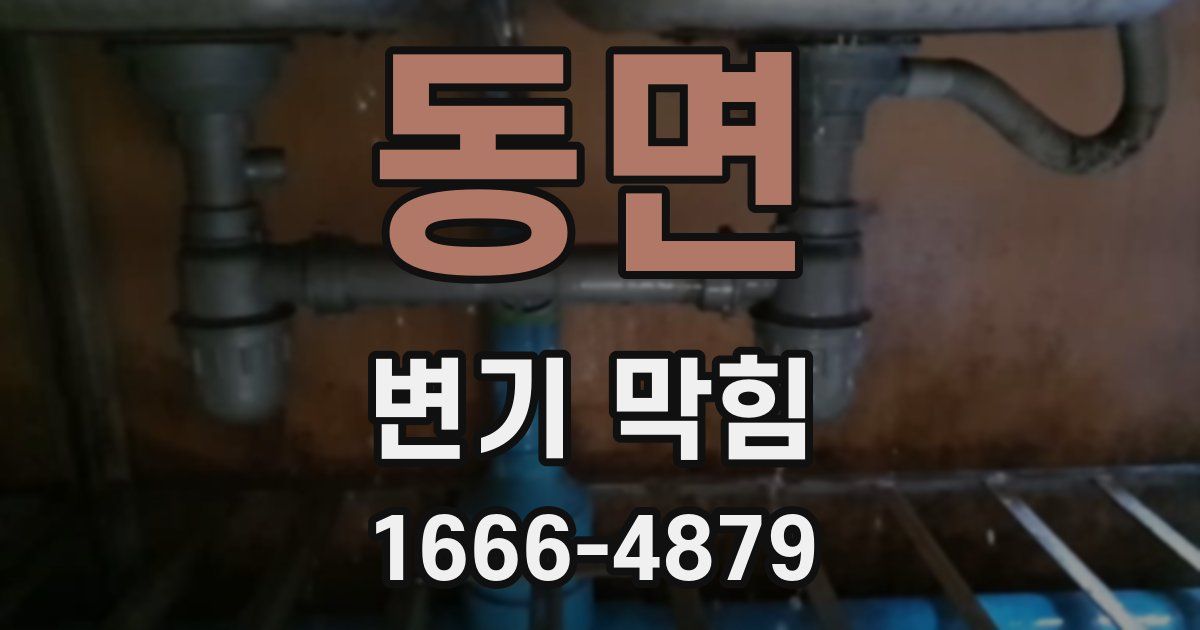 동면 변기 막힘