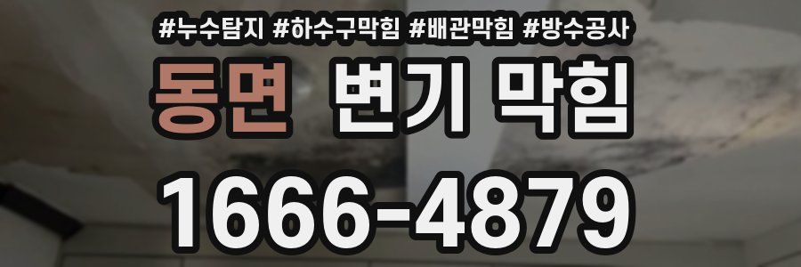 동면 변기 막힘