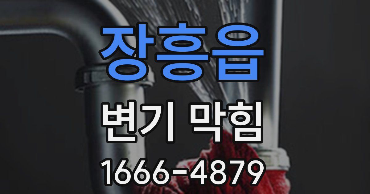 장흥읍 변기 막힘