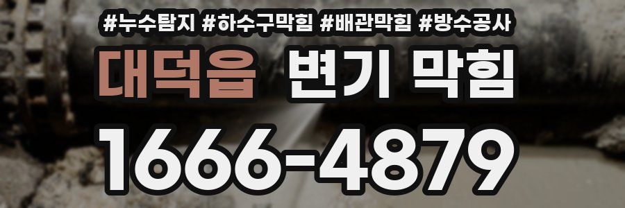 대덕읍 변기 막힘