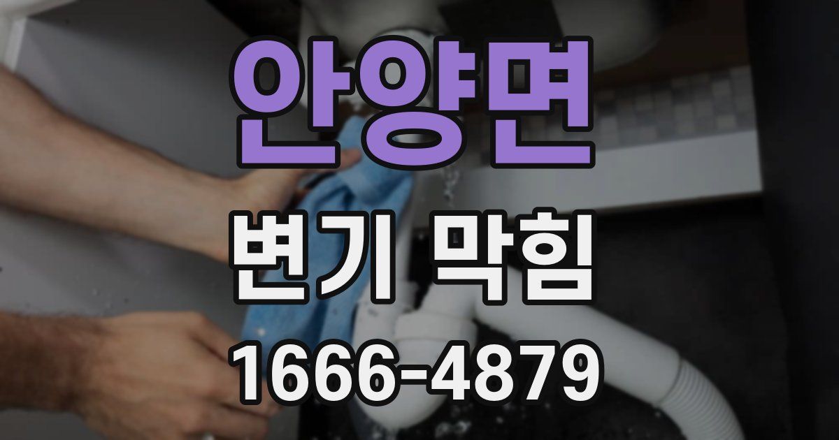 안양면 변기 막힘