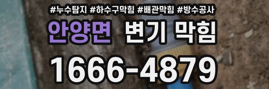 안양면 변기 막힘