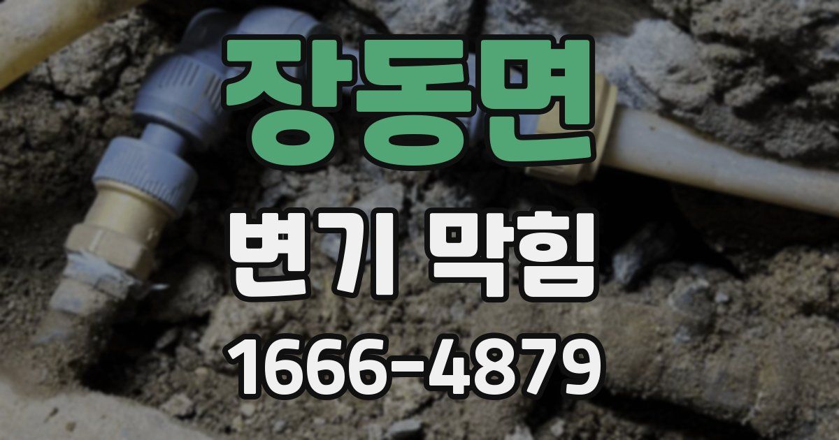 장동면 변기 막힘