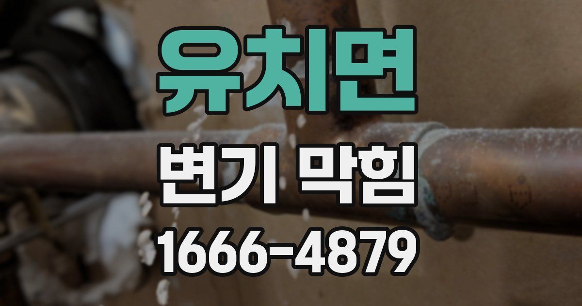 유치면 변기 막힘