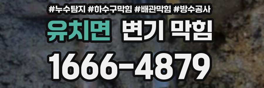 유치면 변기 막힘