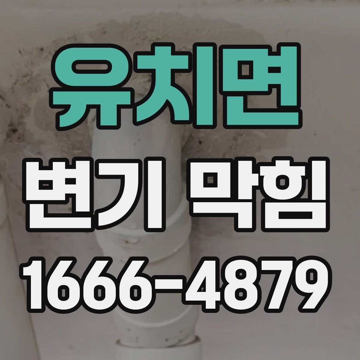 유치면 변기 막힘