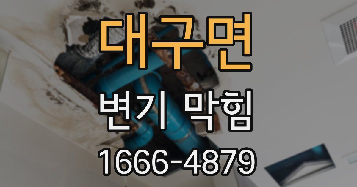 대구면 변기 막힘