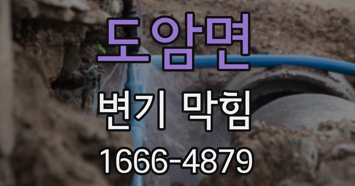 도암면 변기 막힘