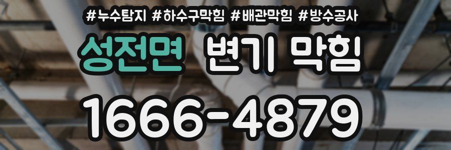성전면 변기 막힘