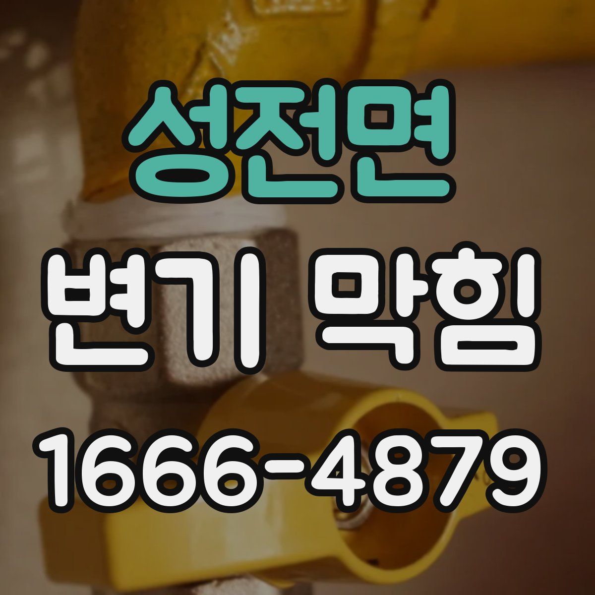 성전면 변기 막힘