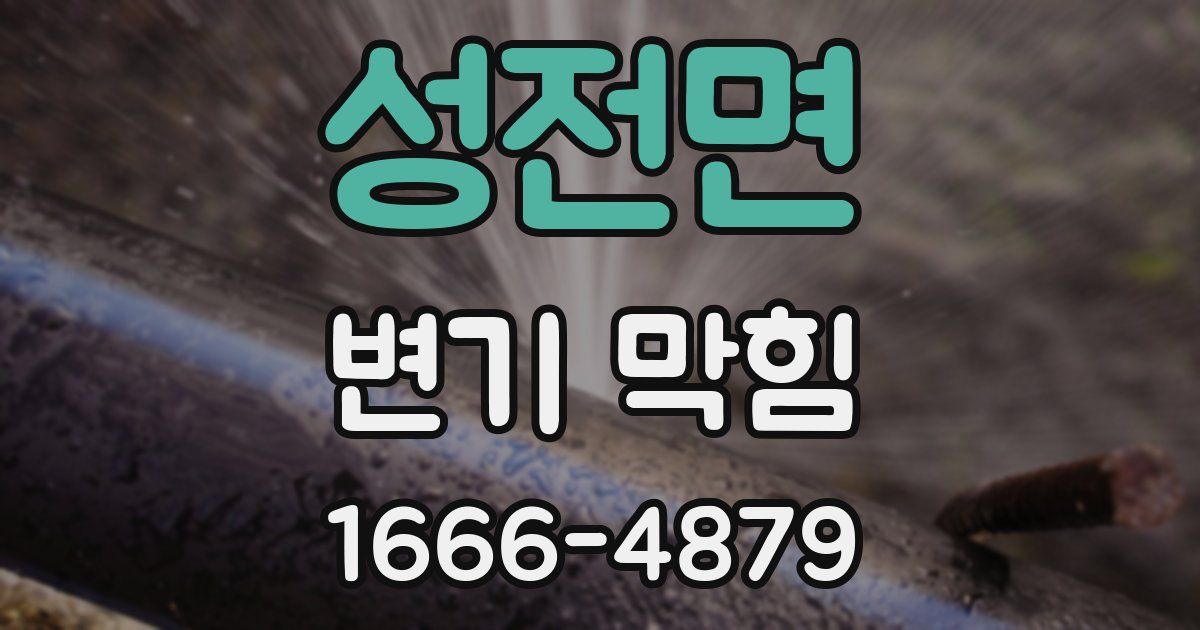 성전면 변기 막힘