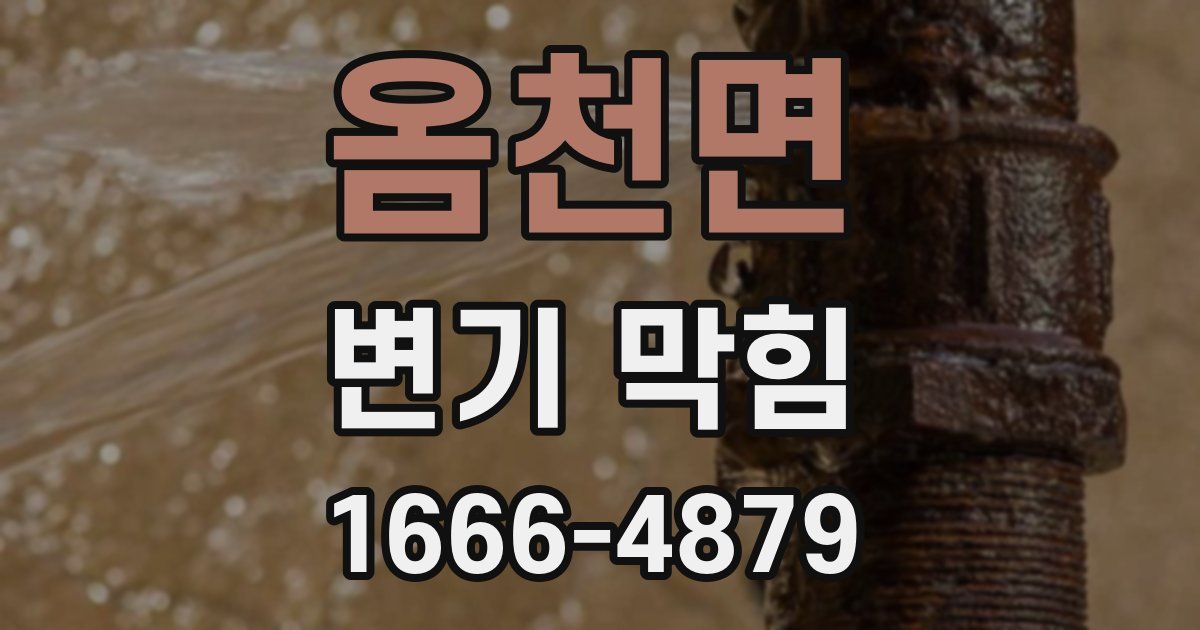 옴천면 변기 막힘