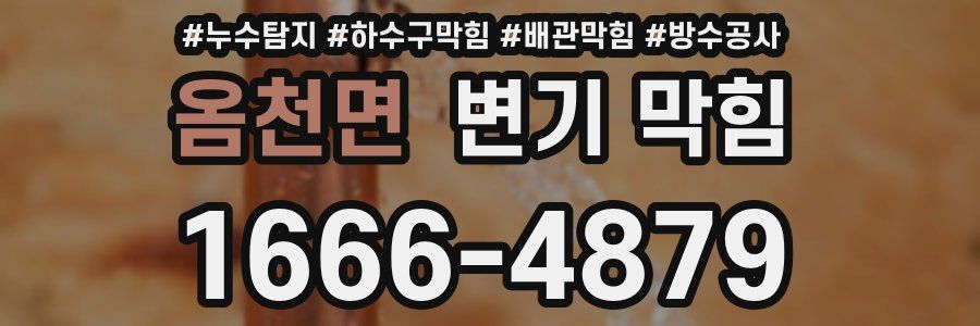 옴천면 변기 막힘