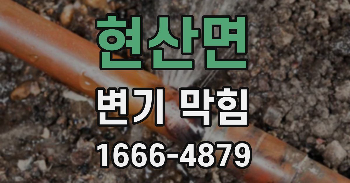 현산면 변기 막힘
