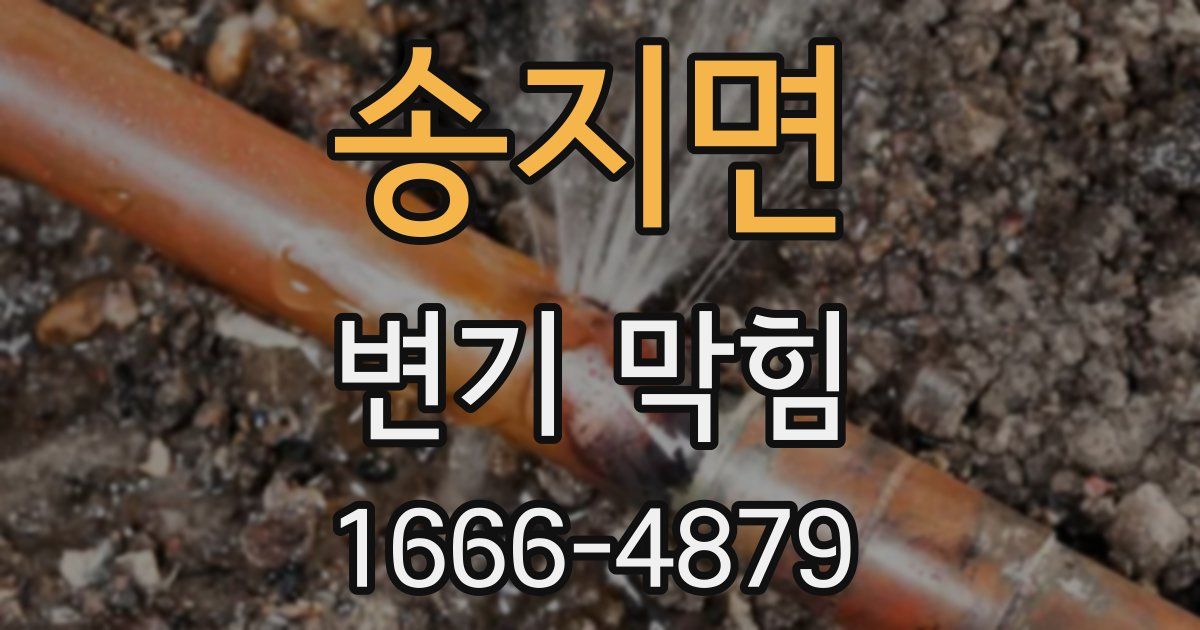 송지면 변기 막힘