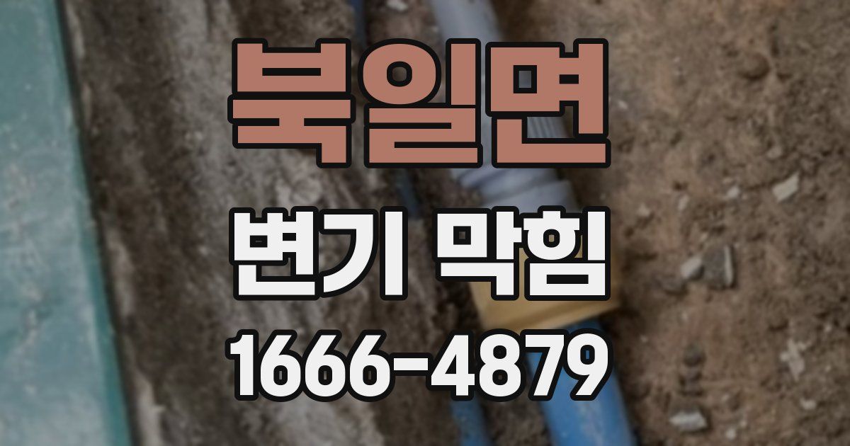 북일면 변기 막힘