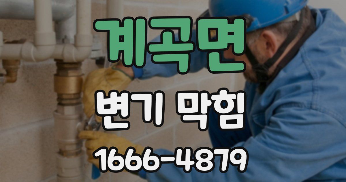 계곡면 변기 막힘