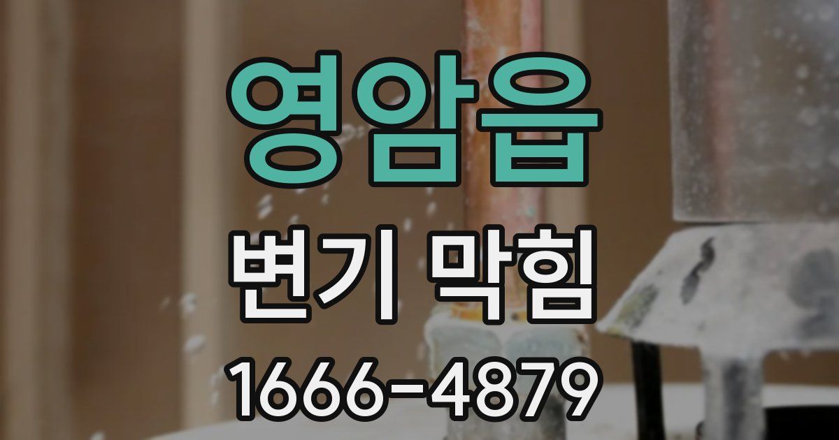 영암읍 변기 막힘