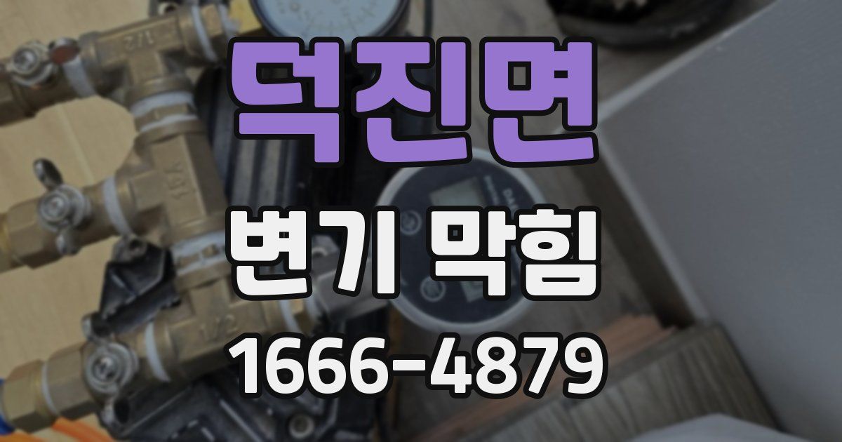 덕진면 변기 막힘